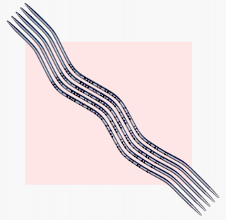 ADDI Crasy Snake lace