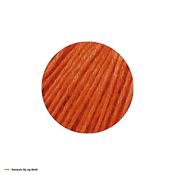 Ecopuno - Orangerd 34