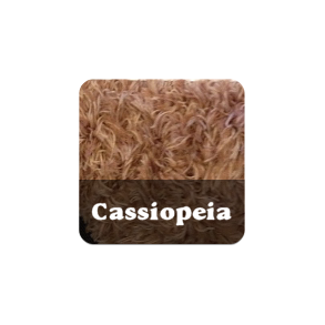 Cassiopeia
