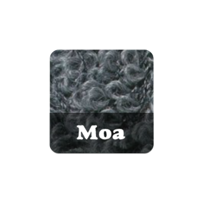 Moa