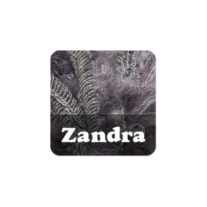 Zandra
