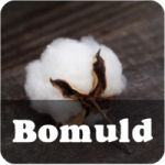 Bomuld