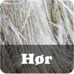 H�rgarn
