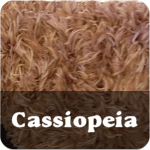 Cassiopeia