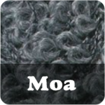 Moa
