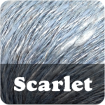 Scarlet