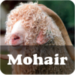 Mohair