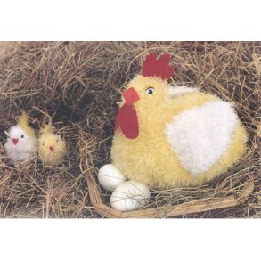 Hne m/kylling i Cassiopeia