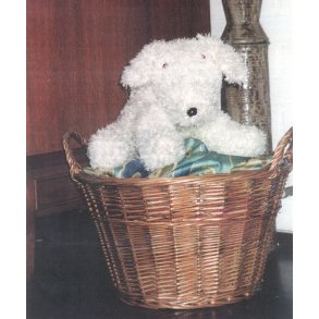 Bld hund i Cassiopeia