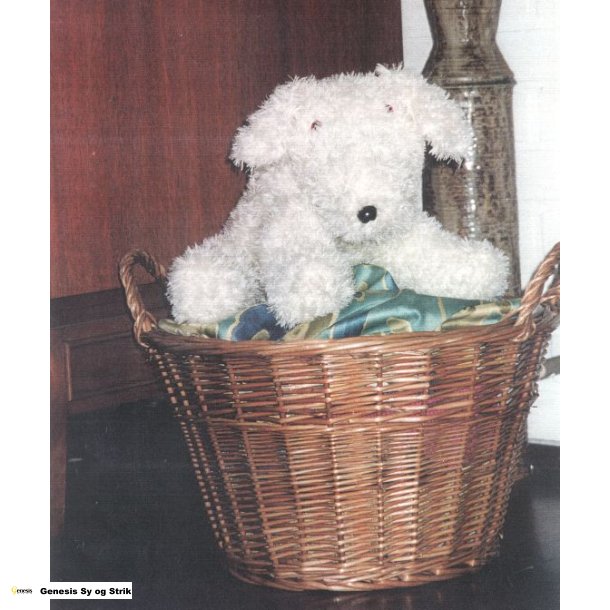 Bld hund i Cassiopeia