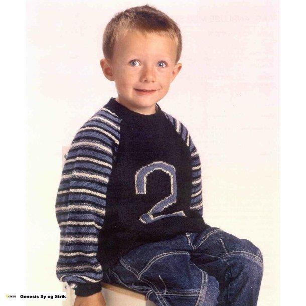 Raglanbluse med stribede rmer