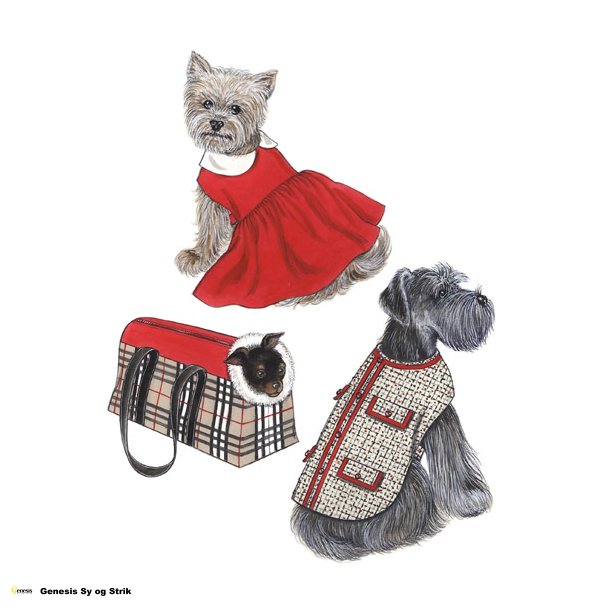 Jakke, kjole eller taske til hunde